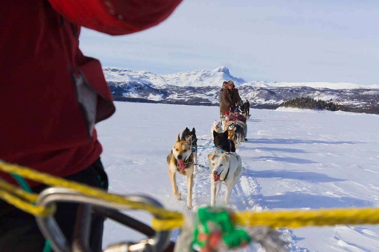Dog sledding Beitostølen, Norway | Beito Husky Tours
