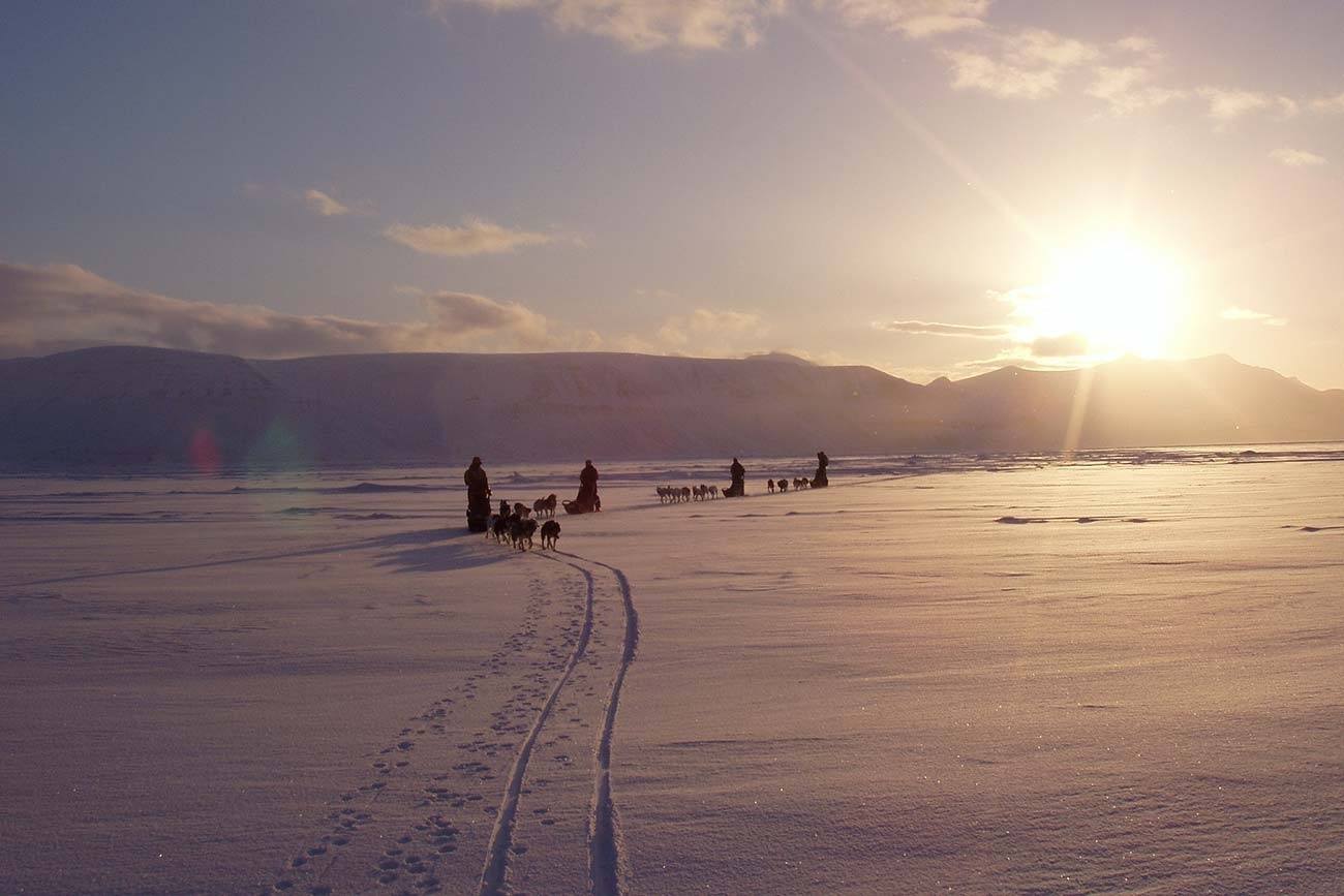 3 days dog sledding adventure | Beito Husky Tours