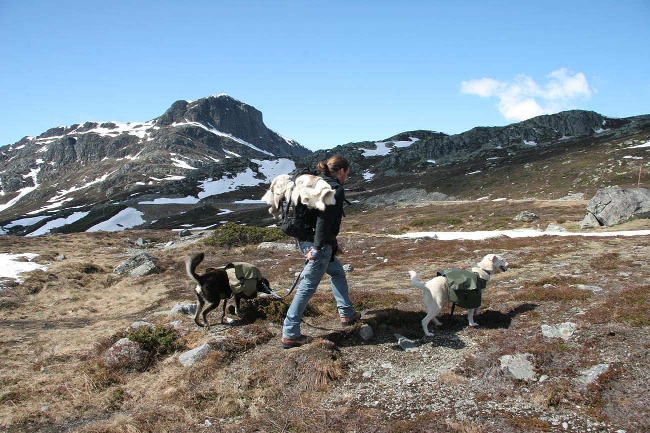 Husky Sherpa Hike to the Mugnatind (1.738 meters above sea level) - Photographer: Tor Solberg