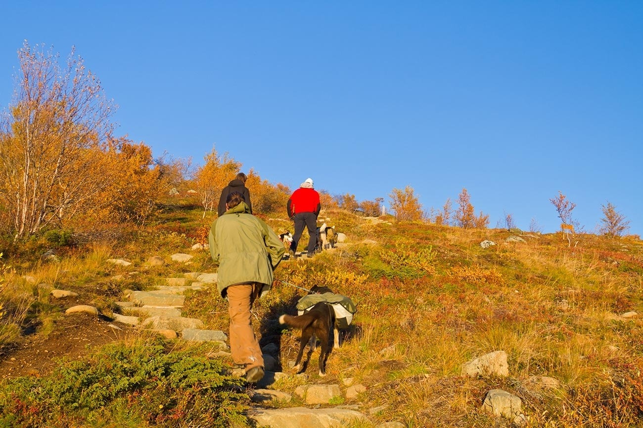 Experience the balance with Nature and animals - Photographer: Tor Solberg