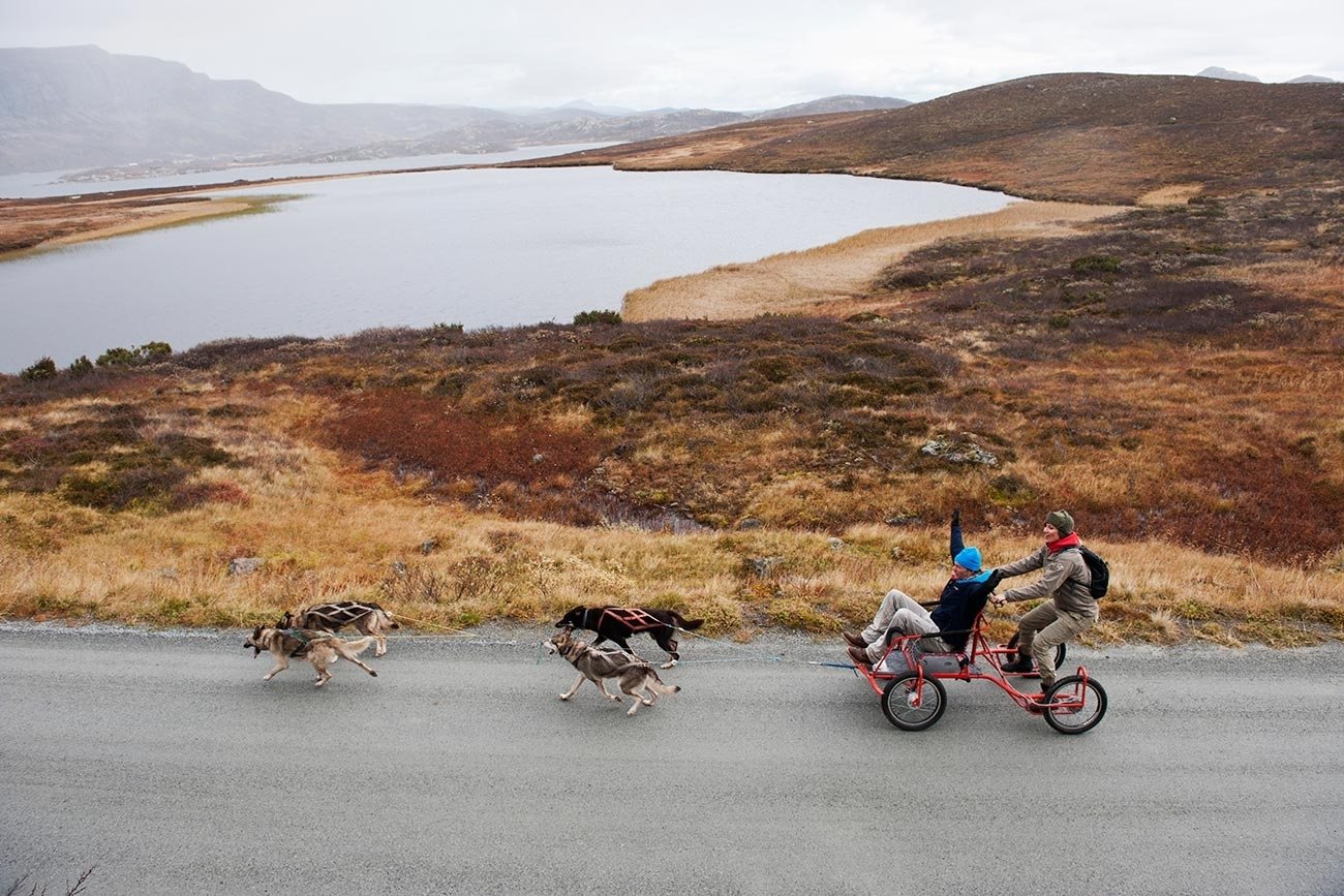 Fun summer activity! Dog sledding on wheels with Beito Husky Tours 