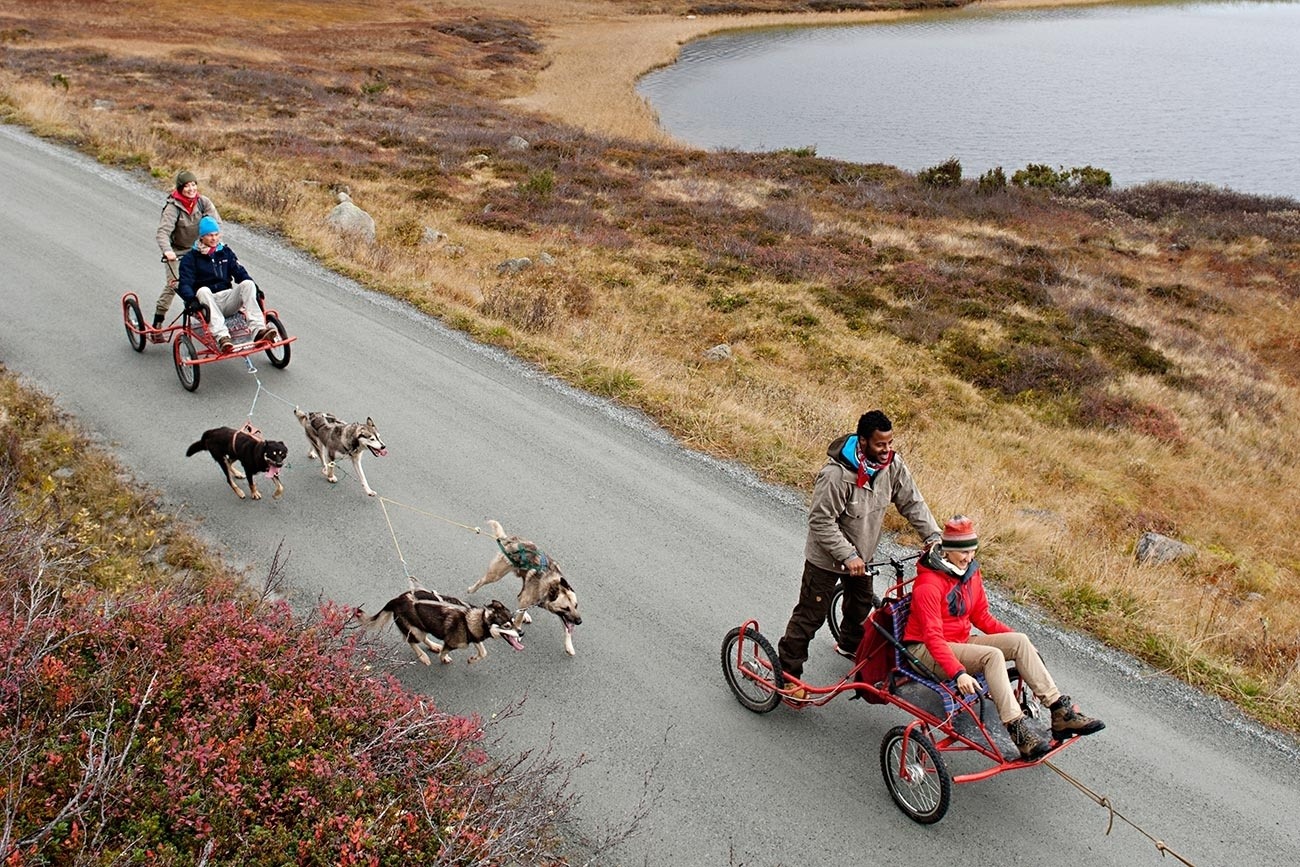 Dogsledding on wheels at the feet of the Jotunheimen National Park