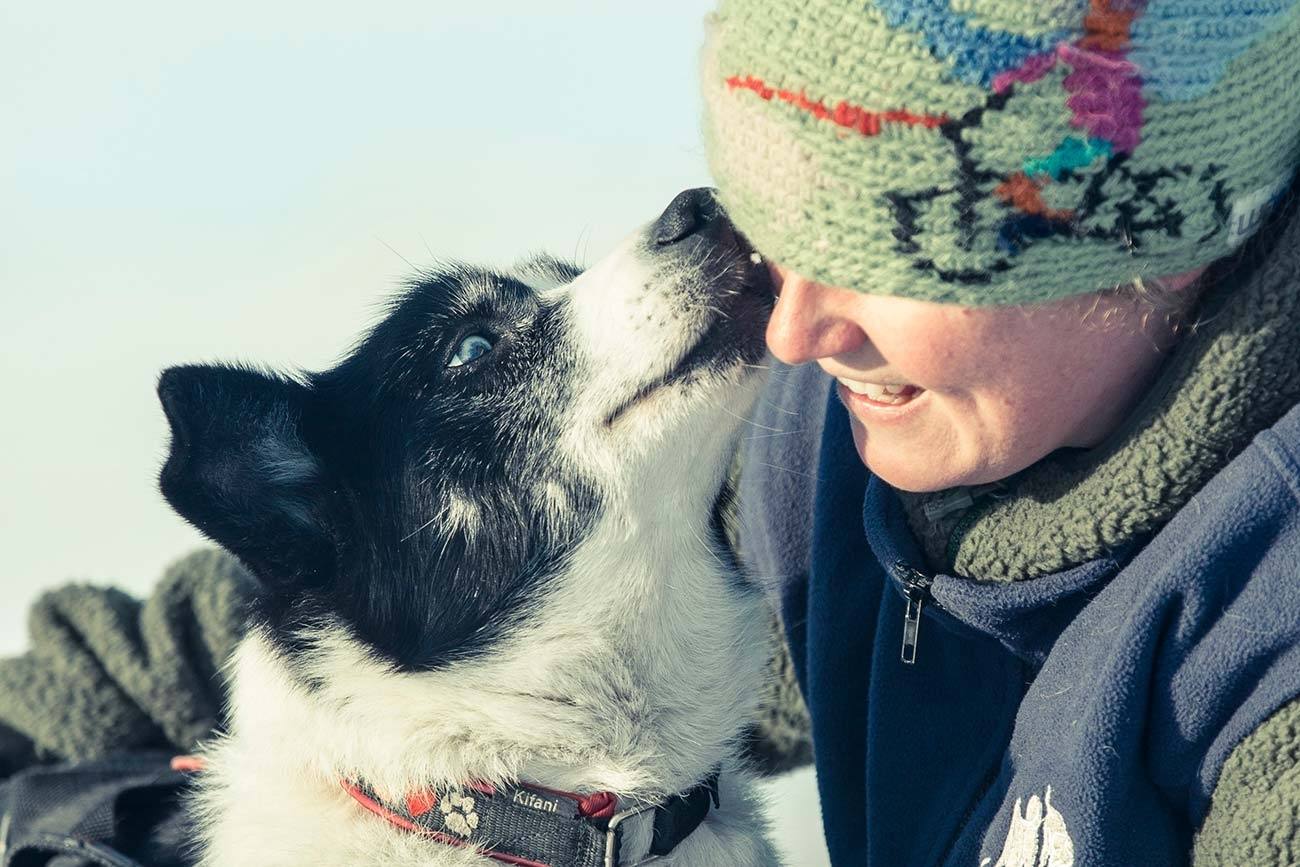 Husky Love / Beito Husky Tours 