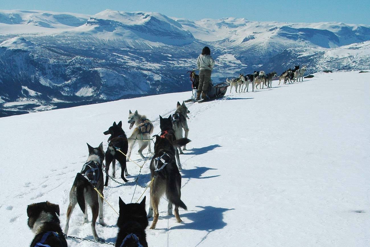 FREERIDE/DOG SLED COMBO ADVENTURE