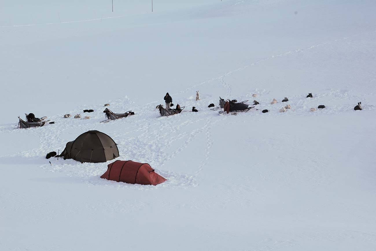 Preparing the tent camp for the night | Beito Husky Tours