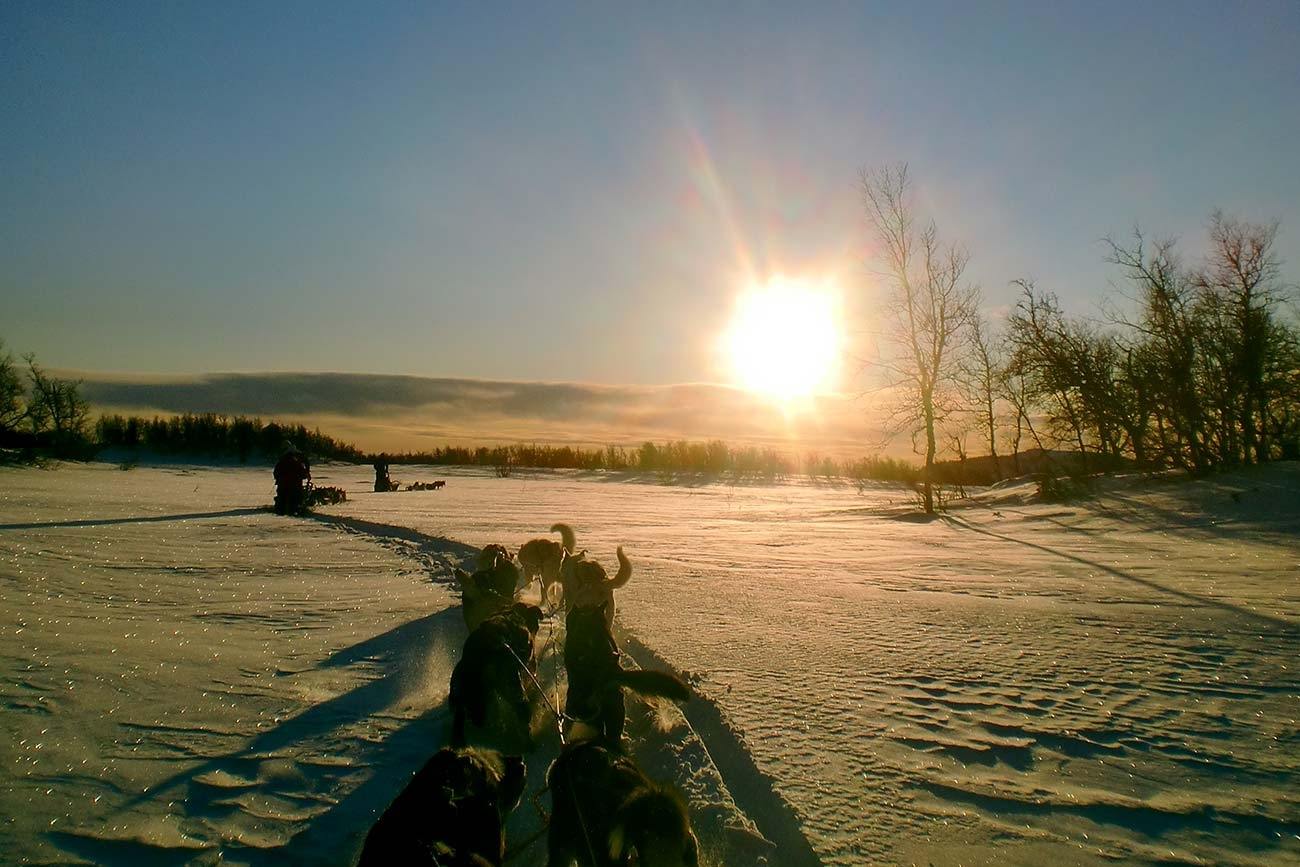 Dog sledding in the sunset | Beito Husky Tours