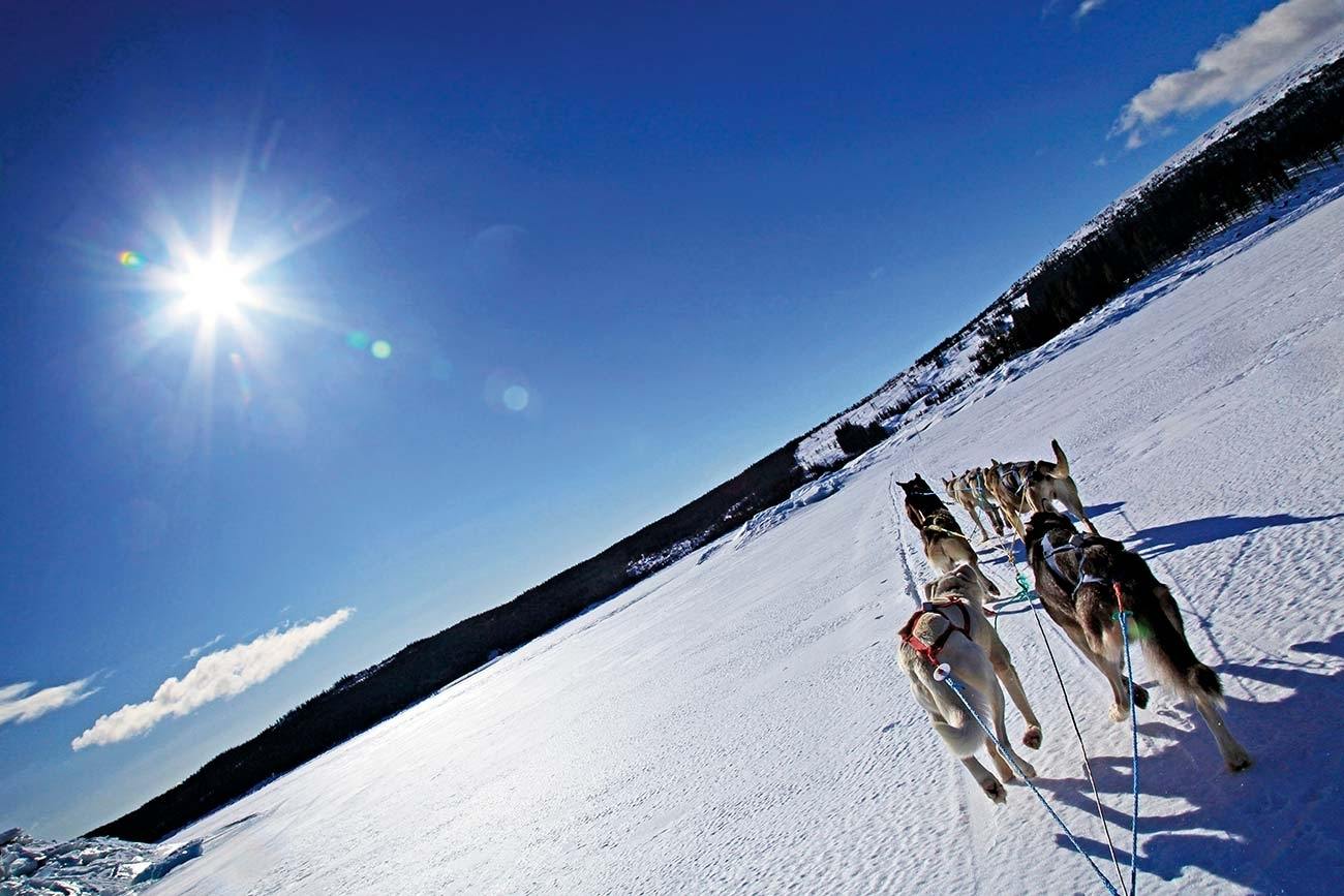 Discover Langsua, the newest National Park in Norway from a dog sled | Beito Husky Tours