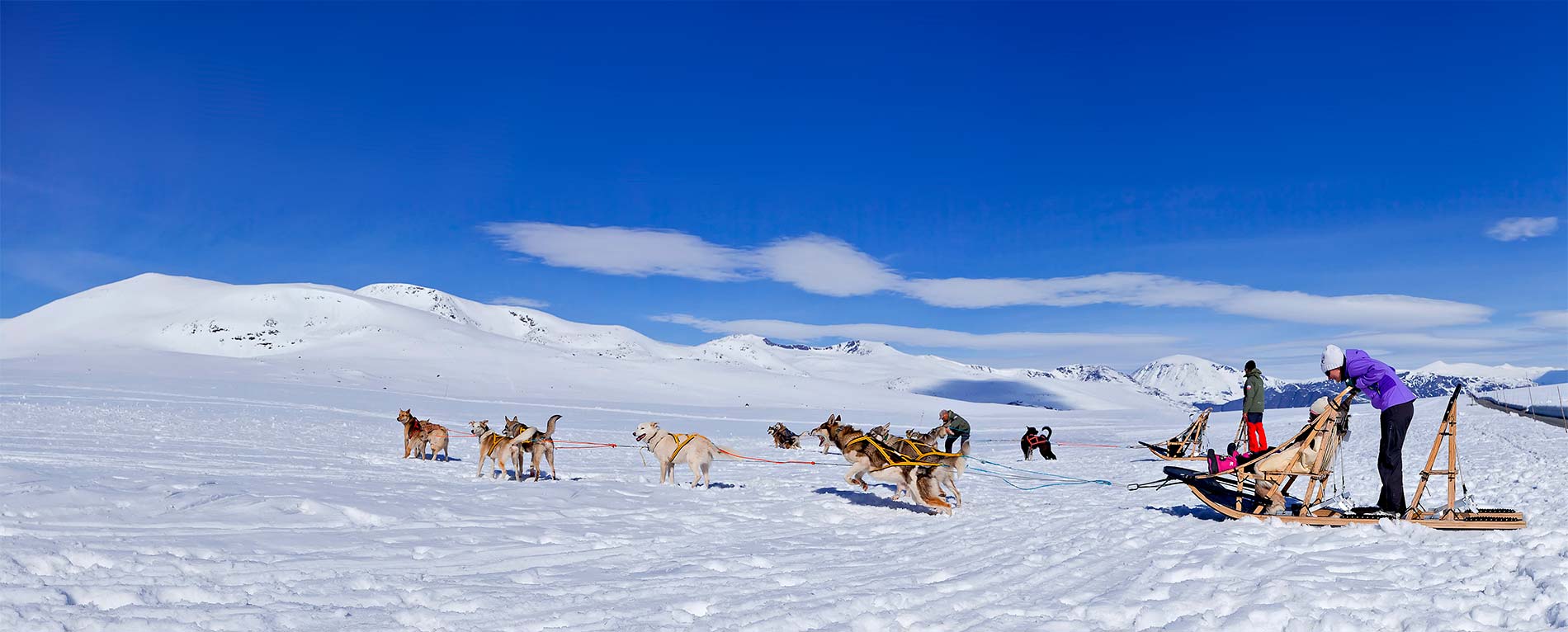 Våre favoritt eventyr